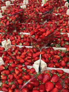 many baskets filled with lots of ripe strawberries