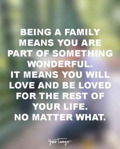 a quote on being a family means you are part of something wonderful it means you will love and be loved for the rest of your life no matter