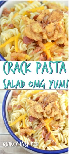 Bacon Cheddar Pasta Salad, Cheddar Ranch Pasta Salad, Cold Alfredo Pasta Salad, Cold Pasta Salad Recipes No Mayo, Cold Shell Pasta Salad, Crowd Pleasing Pasta Salad, Easy Bacon Ranch Pasta Salad, Cold Recipes For A Crowd, Pasta Salad Recipes For A Large Crowd