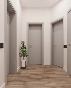 an empty hallway with two doors and a potted plant