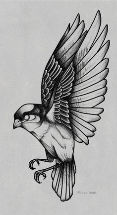 a drawing of a bird flying with its wings spread