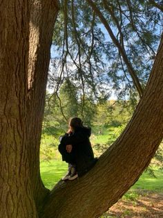 a person sitting in the middle of a tree