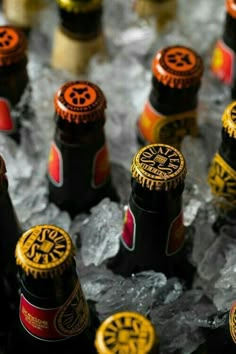 several bottles of beer sitting on top of ice covered table with red, yellow and black caps