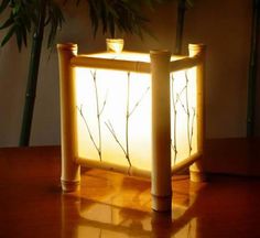 a table with some plants on it and a light in front of it that is turned on