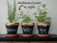 three potted plants with the words rosemary, parsley and mint written on them