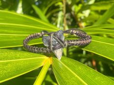 Shark tooth bracelet. Tooth found in South FL, bracelet hand made with hemp and love. Adjustable length, 8-13 inches. Tooth Bracelet, Hippie Bracelets, Shark Tooth, Shark Teeth, Braided Bracelets, Arm Band, Friendship Bracelets, Favorite Jewelry, Hippie Boho