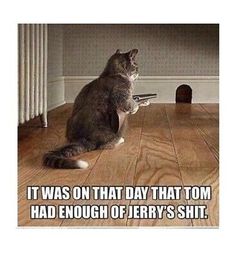 Funny Animal Jokes, Funny Cat Memes, Funny Animal Memes, Animal Jokes, Grumpy Cat, Laughing So Hard, Really Funny Pictures, Funny Animal Pictures