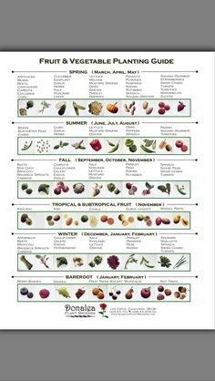 the fruit and vegetable planting guide is shown in this image, it shows different types of fruits