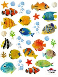 an assortment of different types of fish on a white background with bubbles and bubbles in the water