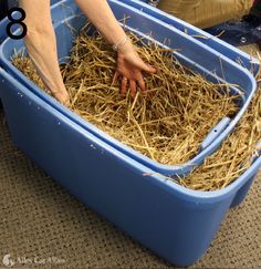 a person reaching into a blue container filled with hay and another hand touching the straw