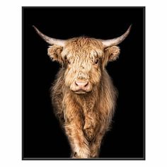 a brown cow with long horns standing in front of a black background