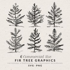 six hand drawn pine tree graphics