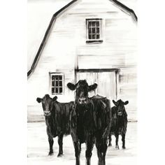 three cows standing in front of a white barn with a black and white painting on it