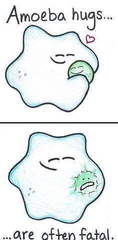 two pictures of the same tooth with different stages of decay on them, one is green and the other is white