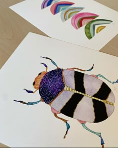 two cards with different colored bugs on them