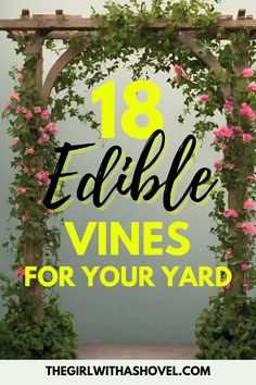 Discover 18 beautiful and edible vines that will not only enhance the charm of your home landscape but will also satisfy your sweet tooth 🍇! Check out these stunning plants, and watch your garden flourish 🌿! Types Of Pumpkins, Small Trellis, Easy Vegetables To Grow, Full Sun Plants, Berry Bushes, Home Landscape, Indoor Plant Care, Sun Plants, Beautiful Fruits