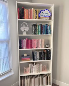 a bookshelf filled with lots of books in front of a window next to a rug