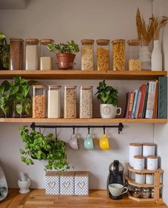 a kitchen with shelves filled with food and plants