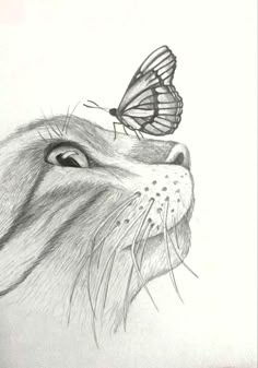 a drawing of a cat with a butterfly on its nose