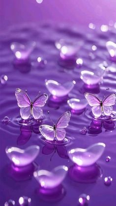 purple butterflies floating in water with bubbles