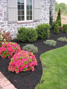 a house with landscaping in front of it and pink flowers on the ground next to it