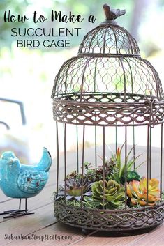 a bird cage with succulents in it and a blue bird sitting on top