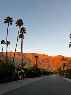 palm trees line the street as the sun sets in front of a mountain range behind them