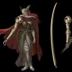 two different types of armor and swords, one with a red cape on the head