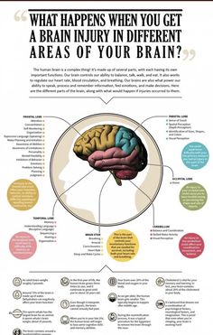 the brain and its functions are shown in this info sheet, which shows what happens when you