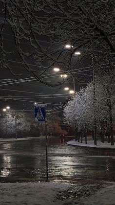 a snowy street at night with lights on and trees in the foreground covered in snow