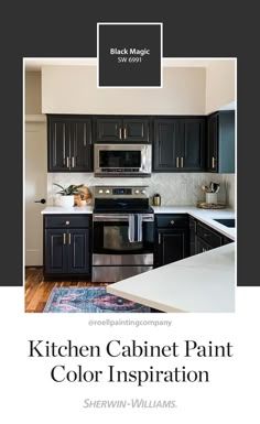 the kitchen cabinet paint color is black