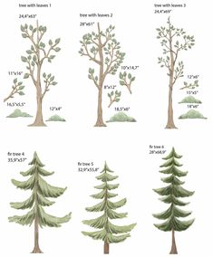 the different types of trees that are labeled in this diagram, and how to draw them