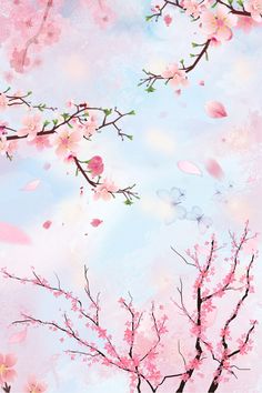 pink flowers are blooming on the branches of trees in front of a blue sky