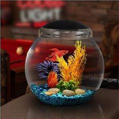 a fish bowl filled with colorful plants and rocks