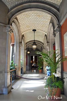 an arched hallway with potted plants on either side and hanging lights above the doorway