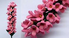 pink flowers are displayed in two different angles