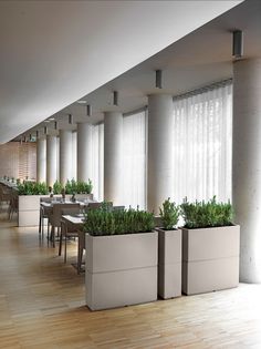 there are many plants in the planters on the wall next to the tables and chairs