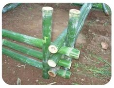 green bamboo poles stacked on top of each other in dirt area with grass and rocks