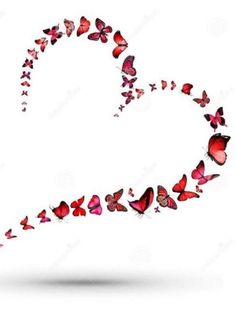 a heart shaped frame with butterflies in the shape of a name