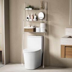 a white toilet sitting in a bathroom next to a shelf