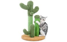 a cat sitting on top of a scratching post next to a cactus