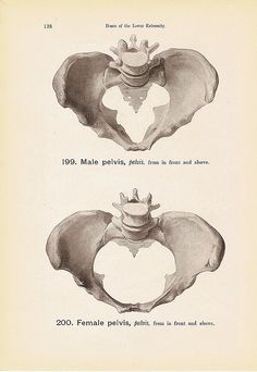 an old book with two different views of the back and side of a human skull