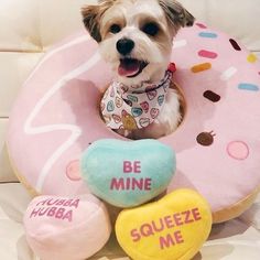 a small dog sitting on top of a pink donut with two heart shaped pillows