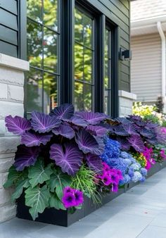 purple and blue flowers are in a black planter on the side of a building