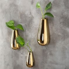 two gold vases with green plants in them on a gray wall behind one another