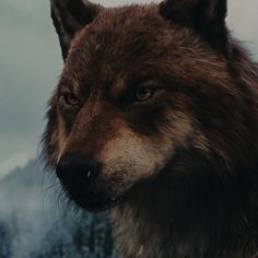 a close up of a wolf's face with mountains in the backgroud