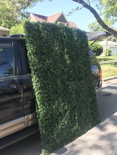 a car that is parked next to a hedge