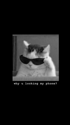 a black and white cat with sunglasses on it's face