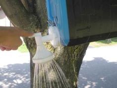 a person is spraying water from a sprinkler on a tree