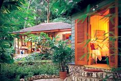 an outside view of a house in the woods with trees and plants surrounding it,